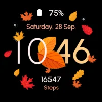 ReS50 - Autumn & Winter Vibes